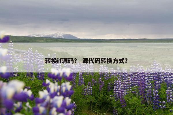 转换if源码？ 源代码转换方式？