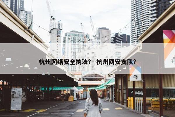 杭州网络安全执法？ 杭州网安支队？