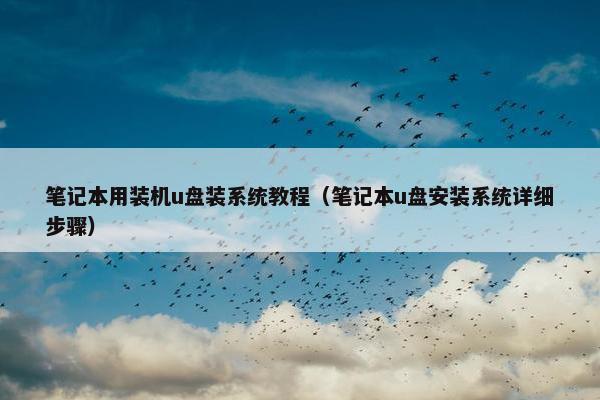 笔记本用装机u盘装系统教程（笔记本u盘安装系统详细步骤）