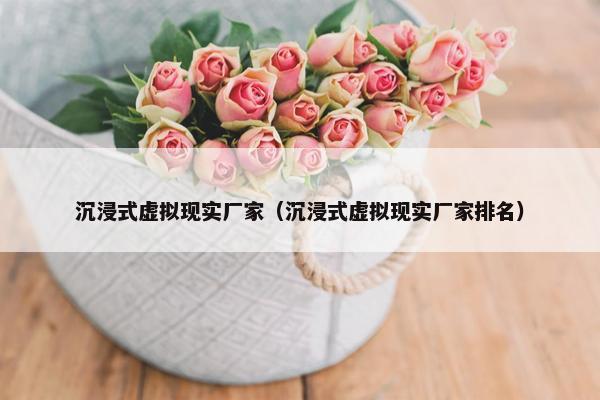 沉浸式虚拟现实厂家（沉浸式虚拟现实厂家排名）
