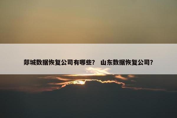 郯城数据恢复公司有哪些？ 山东数据恢复公司？