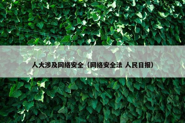 人大涉及网络安全（网络安全法 人民日报）