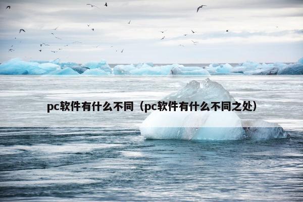 pc软件有什么不同（pc软件有什么不同之处）