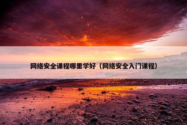 网络安全课程哪里学好（网络安全入门课程）