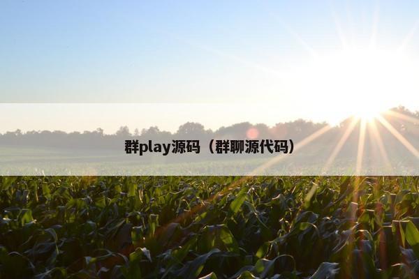 群play源码（群聊源代码）