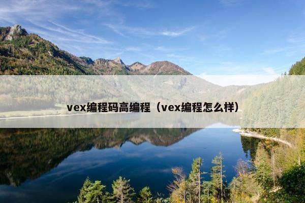 vex编程码高编程（vex编程怎么样）