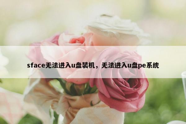 sface无法进入u盘装机，无法进入u盘pe系统