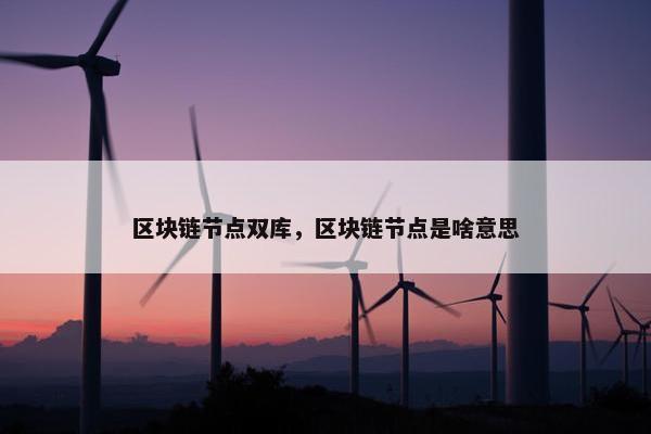 区块链节点双库，区块链节点是啥意思