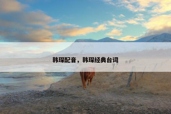 韩琛配音，韩琛经典台词