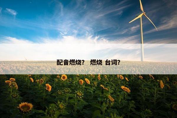 配音燃烧？ 燃烧 台词？