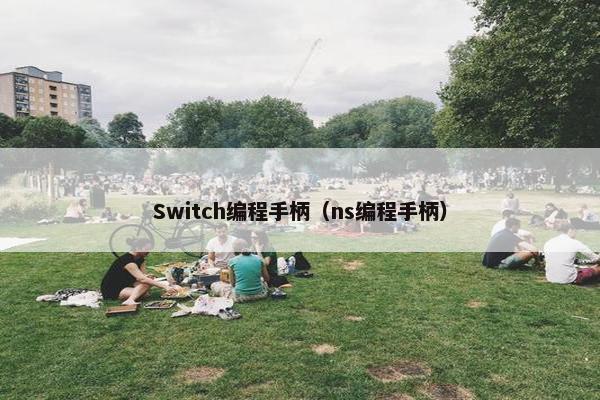 Switch编程手柄（ns编程手柄）