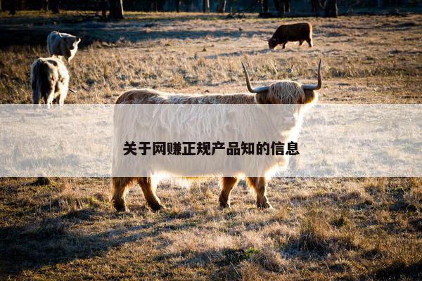 关于网赚正规产品知的信息