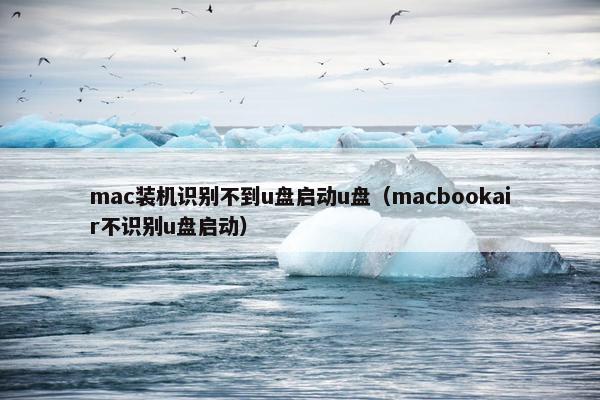 mac装机识别不到u盘启动u盘（macbookair不识别u盘启动）