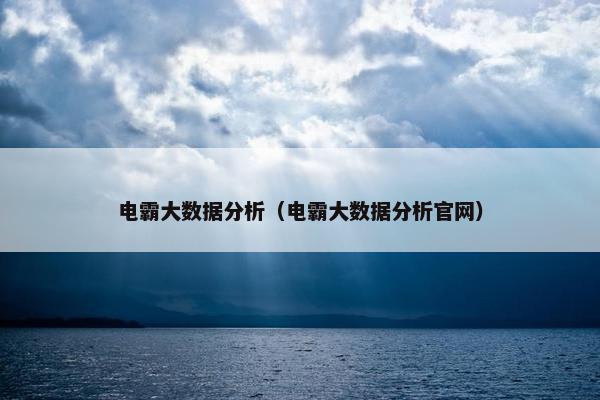 电霸大数据分析（电霸大数据分析官网）