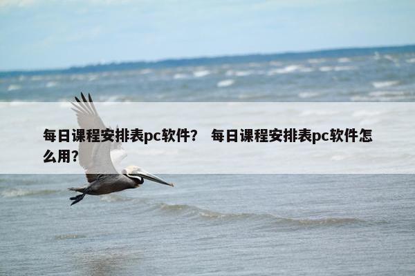 每日课程安排表pc软件？ 每日课程安排表pc软件怎么用？