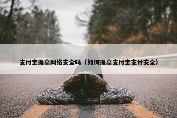 支付宝提高网络安全吗（如何提高支付宝支付安全）