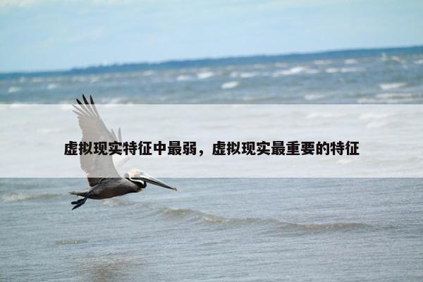 虚拟现实特征中最弱，虚拟现实最重要的特征