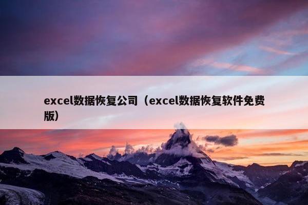 excel数据恢复公司（excel数据恢复软件免费版）