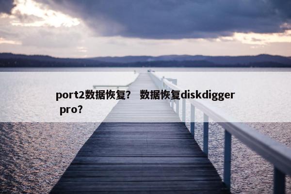 port2数据恢复？ 数据恢复diskdigger pro？