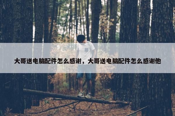 大哥送电脑配件怎么感谢，大哥送电脑配件怎么感谢他