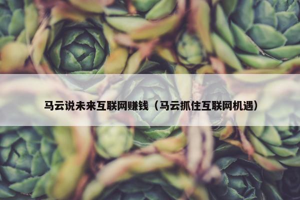 马云说未来互联网赚钱（马云抓住互联网机遇）