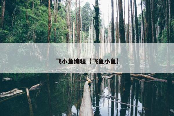 飞小鱼编程（飞鱼小鱼）