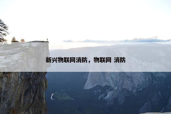 新兴物联网消防，物联网 消防