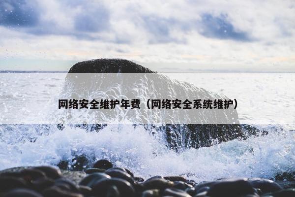 网络安全维护年费（网络安全系统维护）