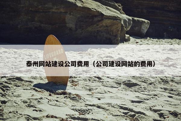 泰州网站建设公司费用（公司建设网站的费用）