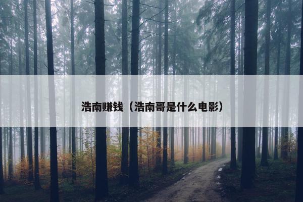 浩南赚钱（浩南哥是什么电影）