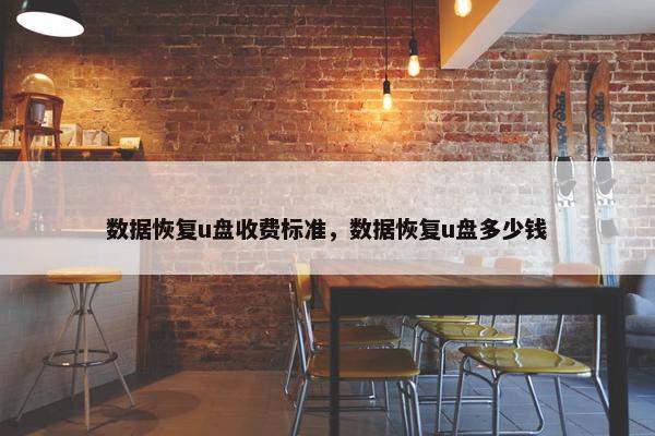 数据恢复u盘收费标准，数据恢复u盘多少钱