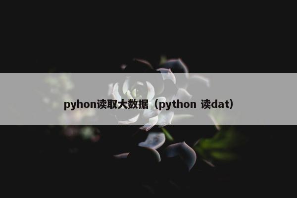 pyhon读取大数据（python 读dat）