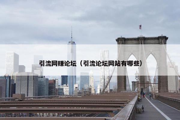 引流网赚论坛（引流论坛网站有哪些）