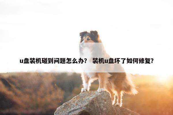 u盘装机碰到问题怎么办？ 装机u盘坏了如何修复？