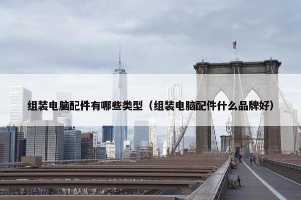 组装电脑配件有哪些类型（组装电脑配件什么品牌好）