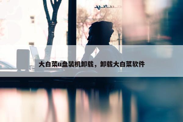 大白菜u盘装机卸载，卸载大白菜软件
