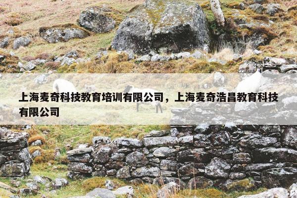 上海麦奇科技教育培训有限公司，上海麦奇浩昌教育科技有限公司