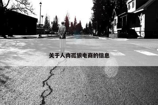关于人肉孤狼电商的信息