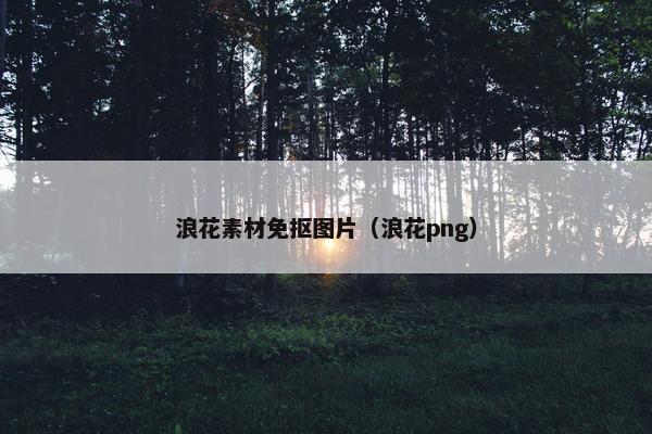 浪花素材免抠图片（浪花png）