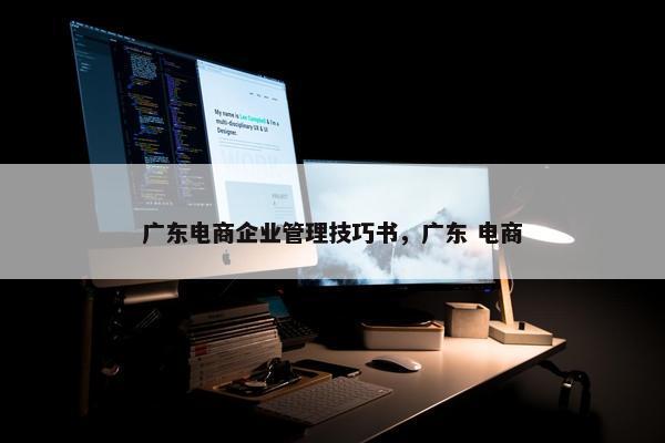 广东电商企业管理技巧书，广东 电商