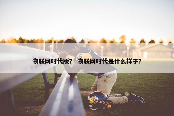 物联网时代版？ 物联网时代是什么样子？