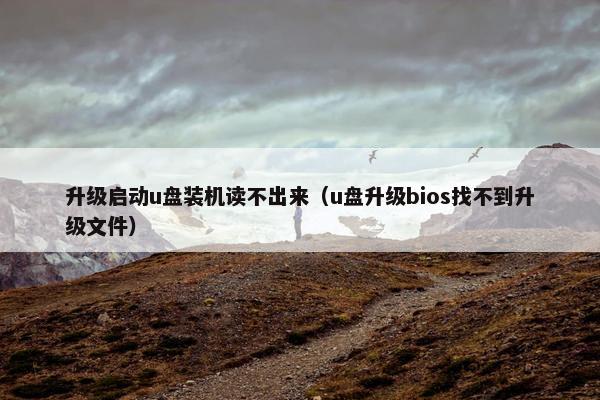 升级启动u盘装机读不出来（u盘升级bios找不到升级文件）