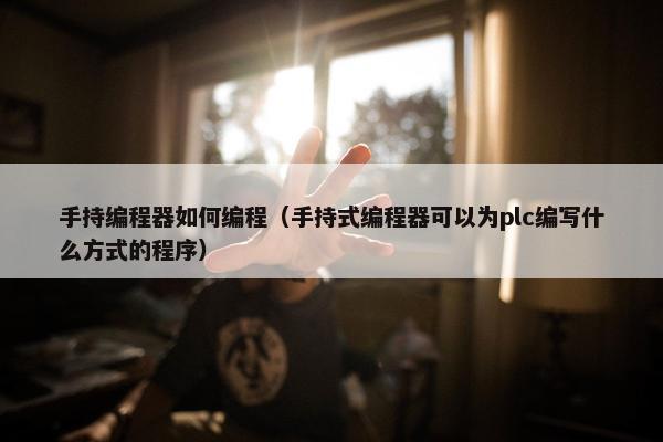 手持编程器如何编程（手持式编程器可以为plc编写什么方式的程序）