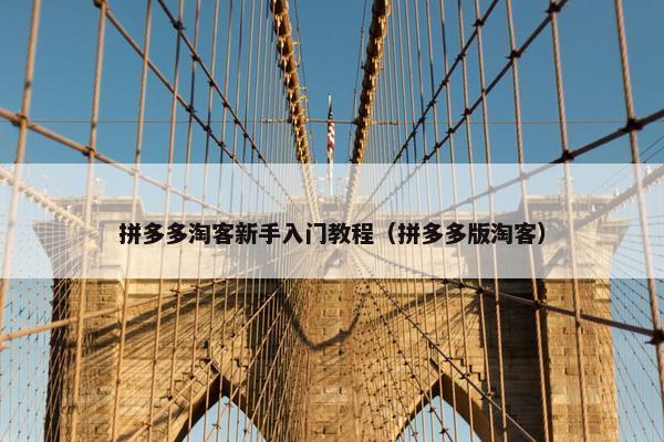 拼多多淘客新手入门教程（拼多多版淘客）