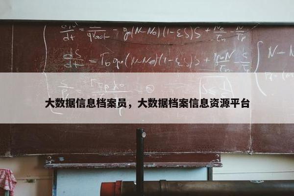 大数据信息档案员，大数据档案信息资源平台