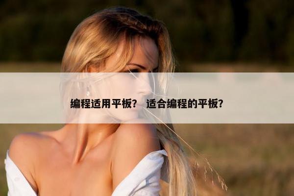 编程适用平板？ 适合编程的平板？