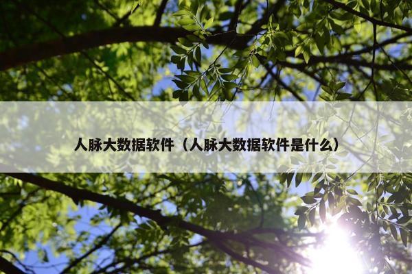 人脉大数据软件（人脉大数据软件是什么）