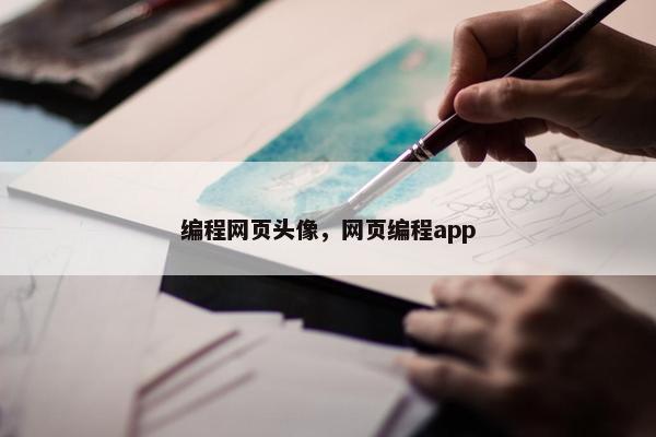 编程网页头像，网页编程app