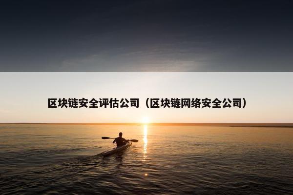 区块链安全评估公司（区块链网络安全公司）