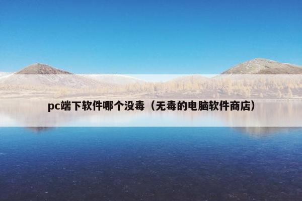 pc端下软件哪个没毒（无毒的电脑软件商店）
